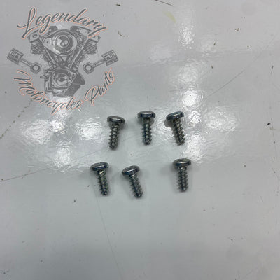 Parafuso torx OEM 4991