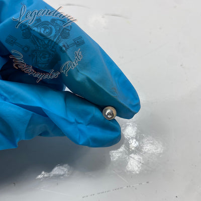 Parafuso torx OEM 4991
