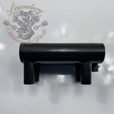 Bobina de encendido OEM 31600017