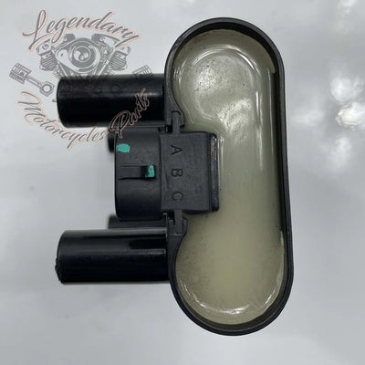 Bobina de encendido OEM 31600017