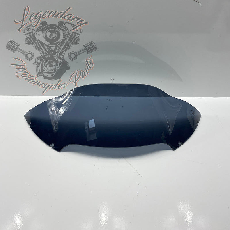 Windshield OEM 57400303
