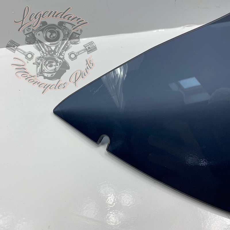 Windshield OEM 57400303