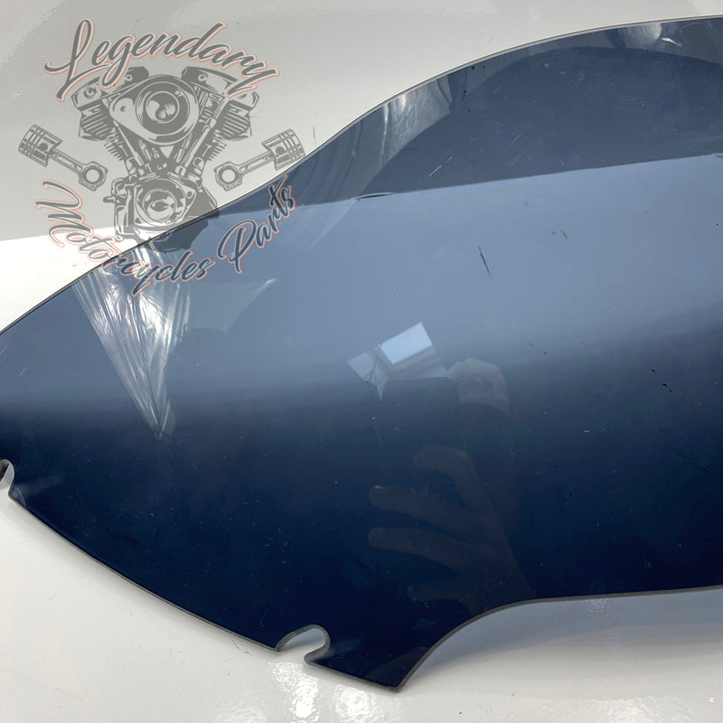 Windshield OEM 57400303