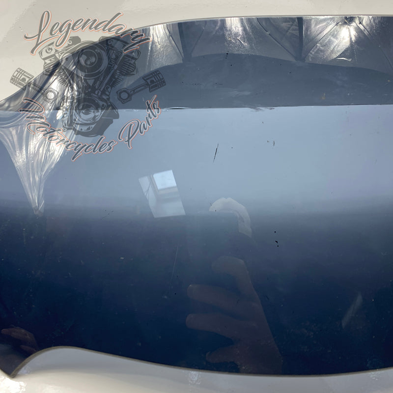 Windshield OEM 57400303