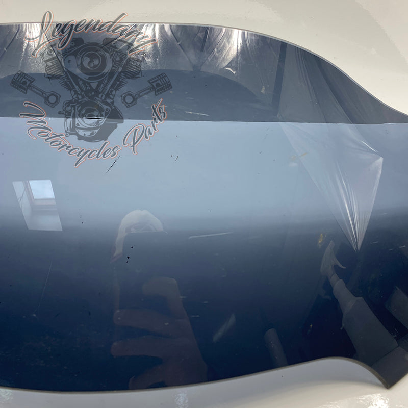 Windshield OEM 57400303