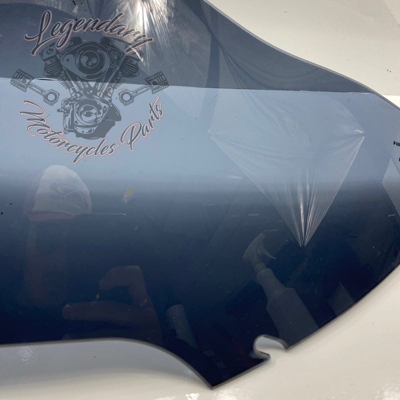 Windshield OEM 57400303