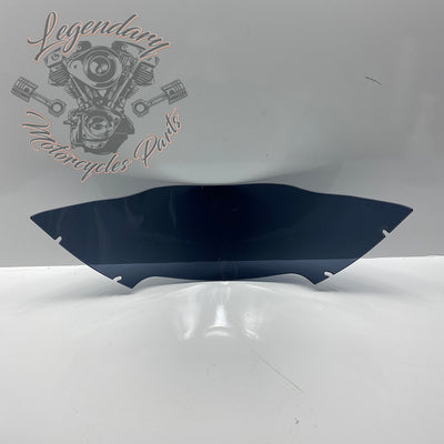 Windshield OEM 57400303