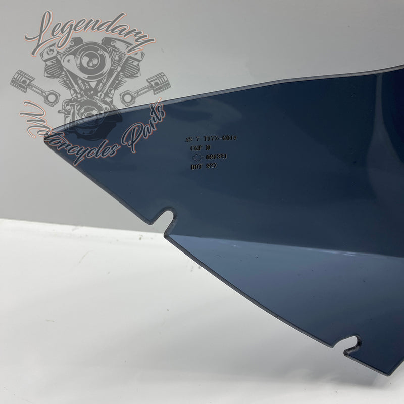 Windshield OEM 57400303