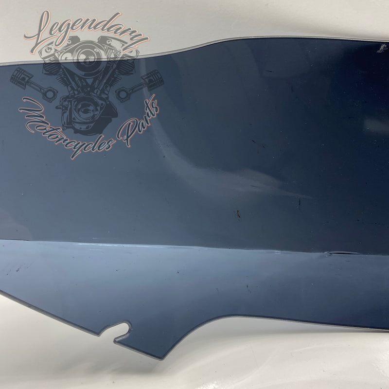 Windshield OEM 57400303