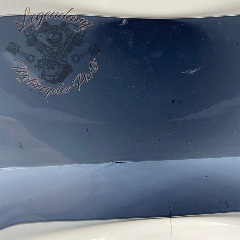 Windshield OEM 57400303