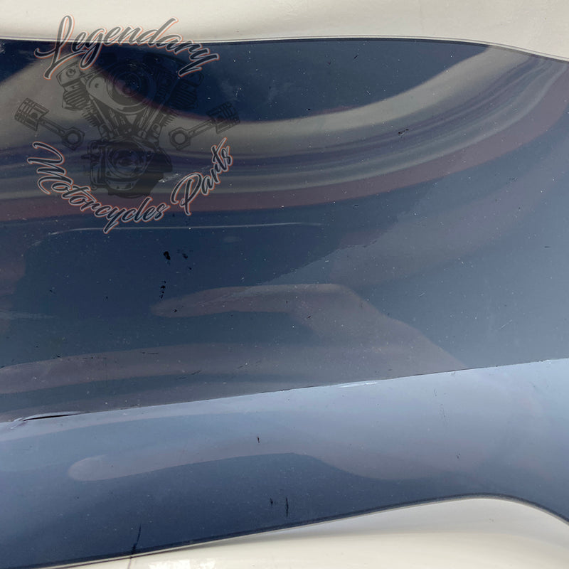 Windshield OEM 57400303