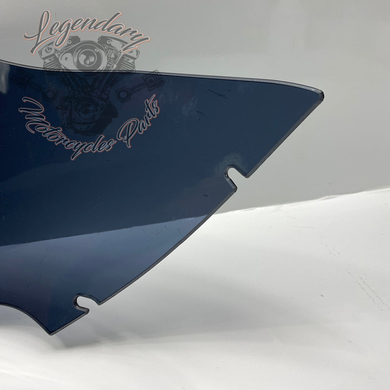Windshield OEM 57400303