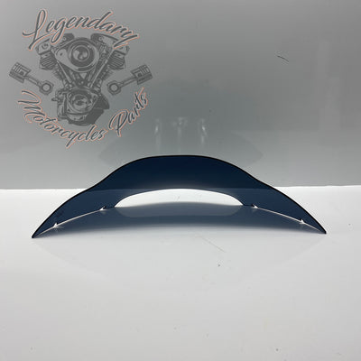 Windshield OEM 57400303