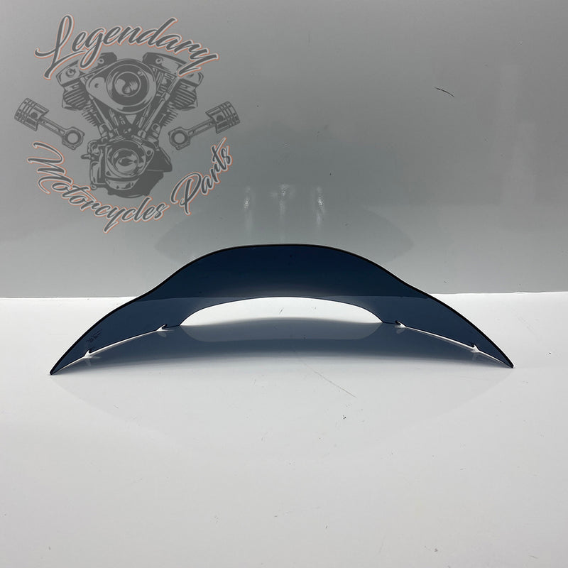 Windshield OEM 57400303