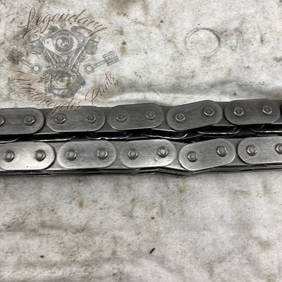 Primary Chain OEM 40036-06