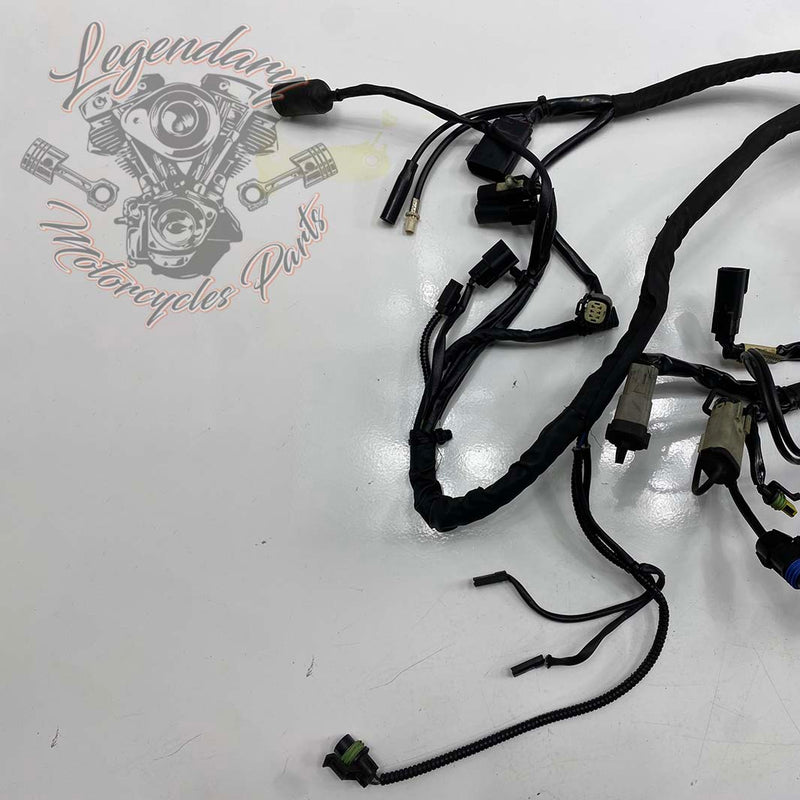 Headlight Harness OEM 69200118