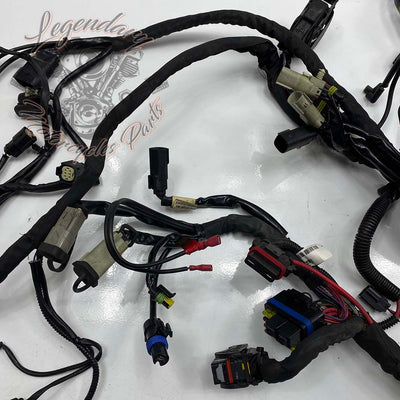 Headlight Harness OEM 69200118