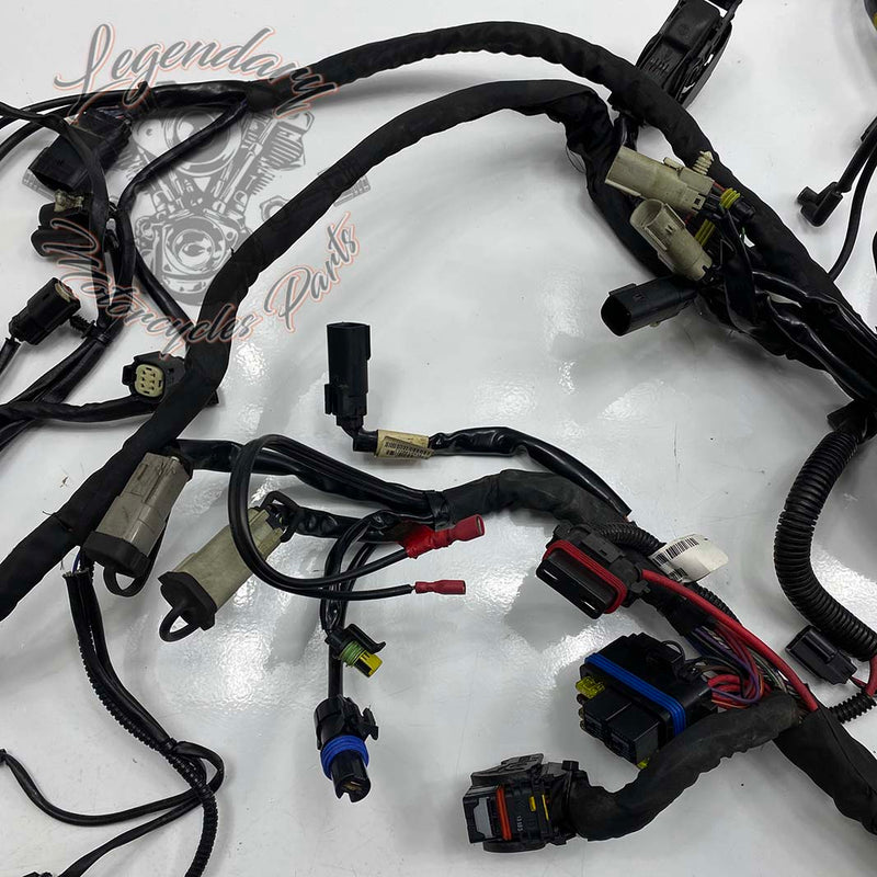 Headlight Harness OEM 69200118