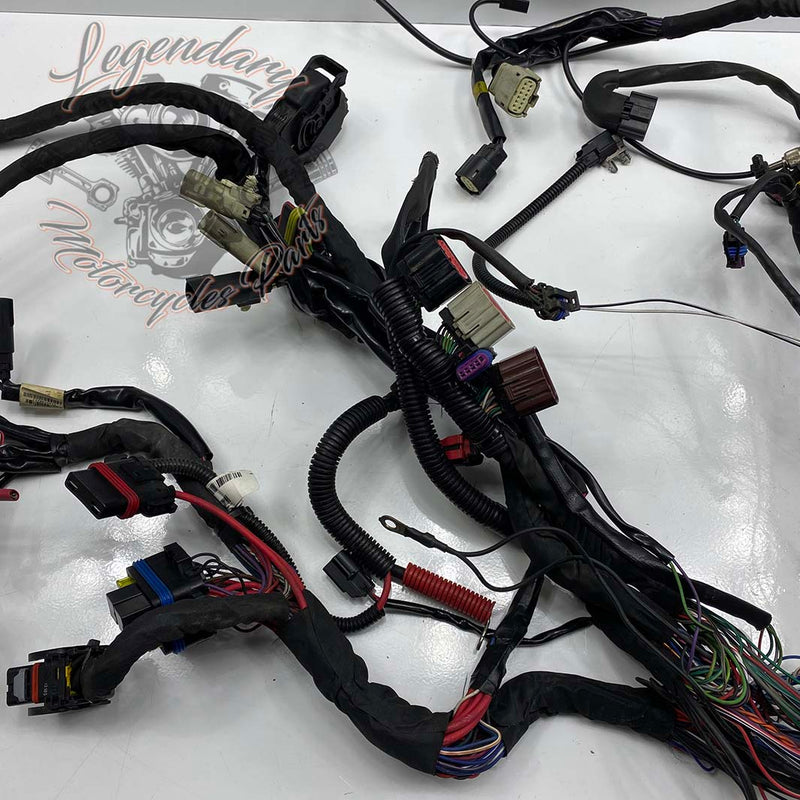 Headlight Harness OEM 69200118