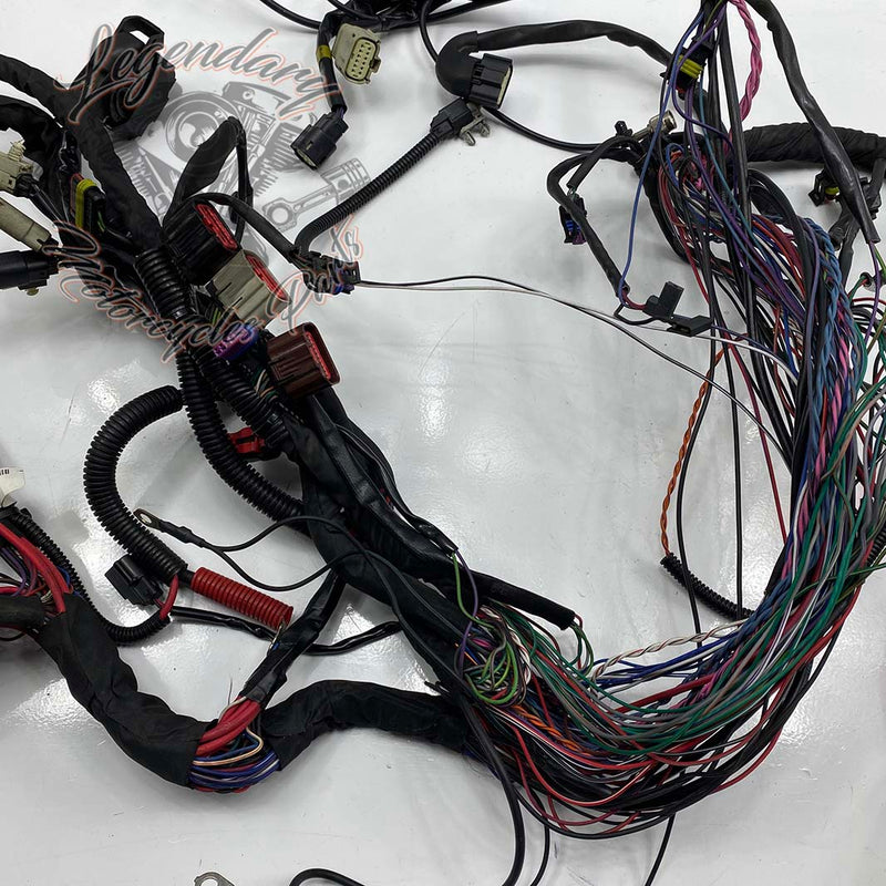 Headlight Harness OEM 69200118