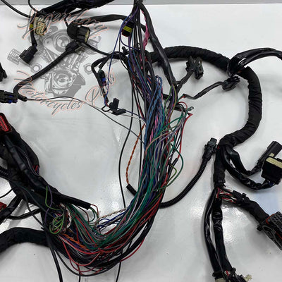 Headlight Harness OEM 69200118