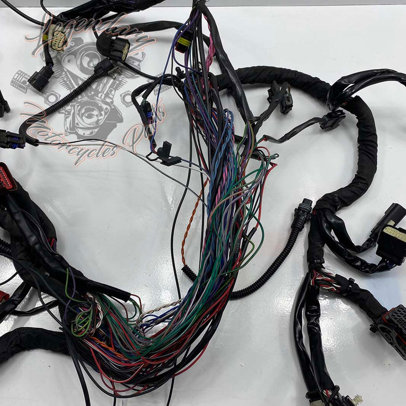 Headlight Harness OEM 69200118
