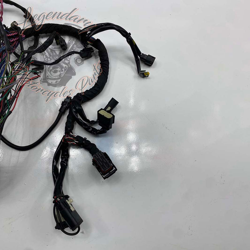 Headlight Harness OEM 69200118