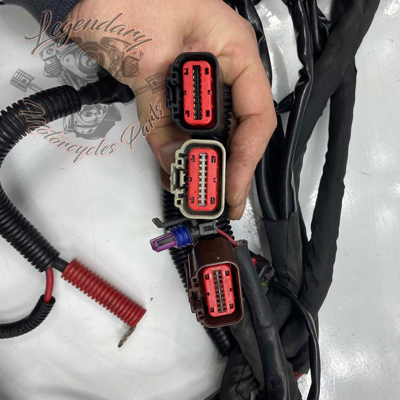 Headlight Harness OEM 69200118