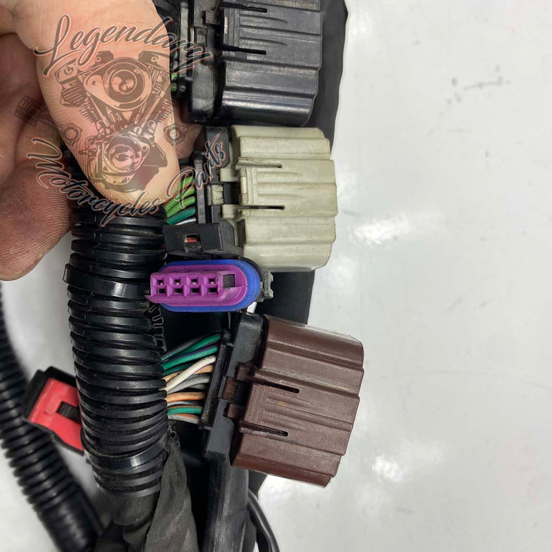 Headlight Harness OEM 69200118