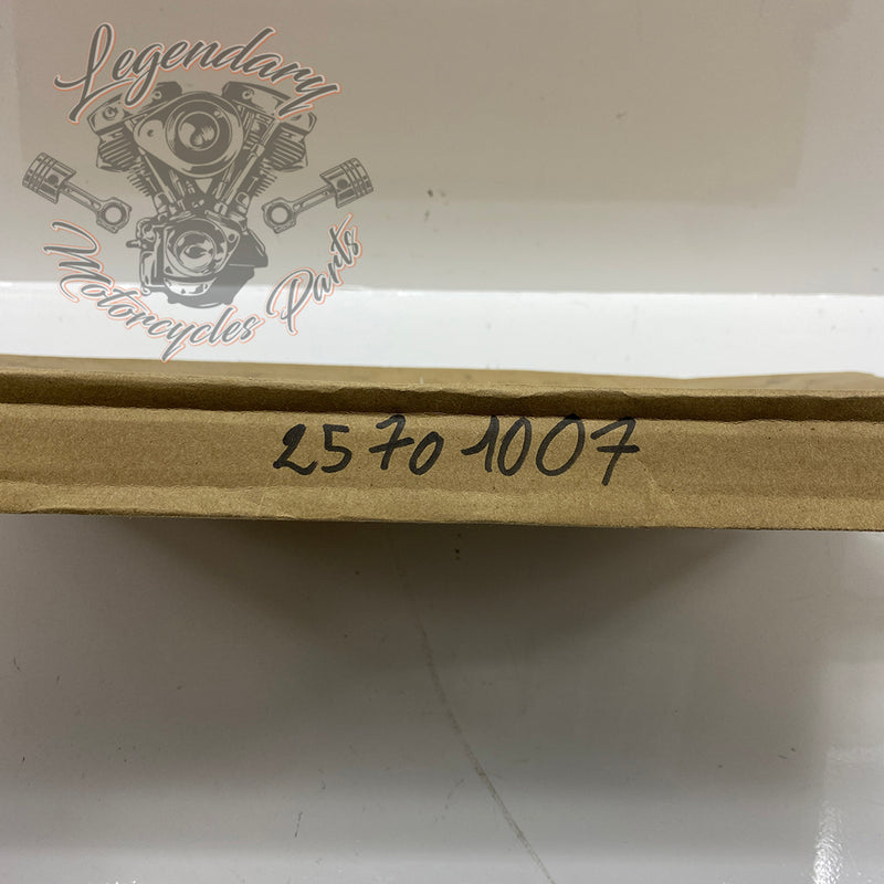 Guarnizione carter primaria esterna OEM 25701007