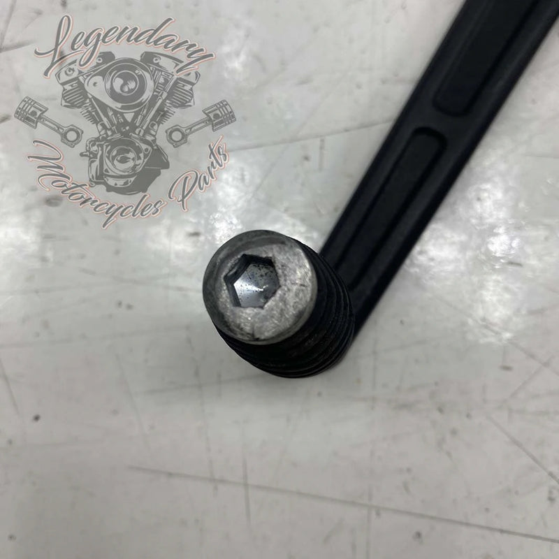 Selektor OEM 33600269