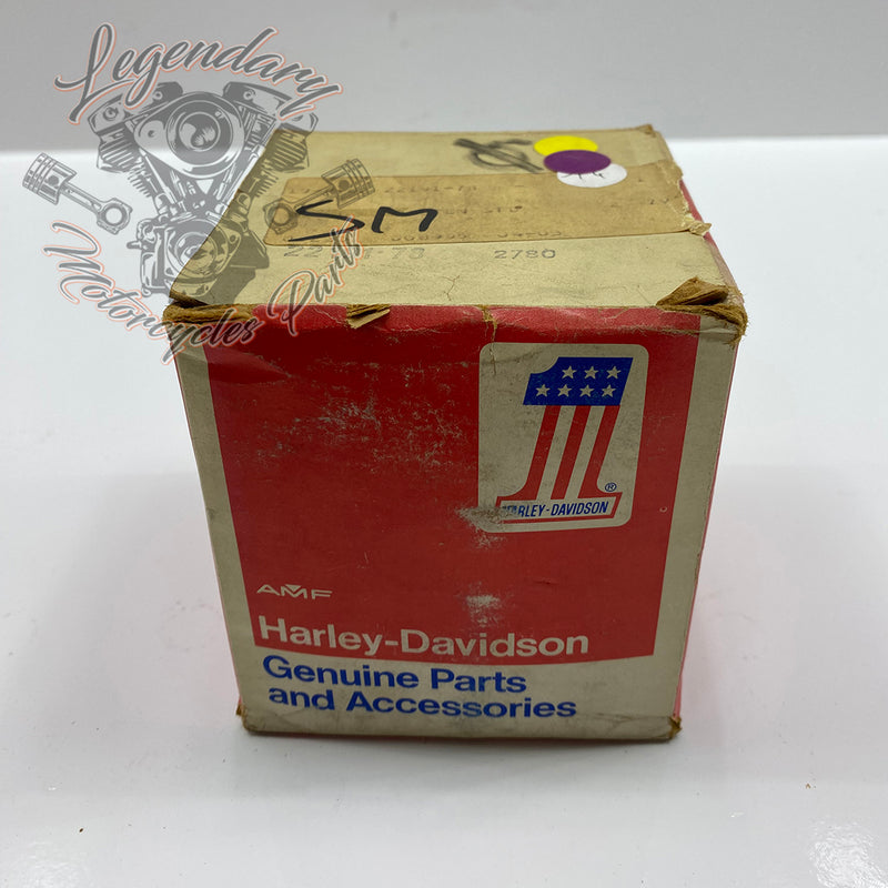 Piston Kit OEM 22191-78