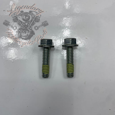 Screw OEM AA0408.21CXZB