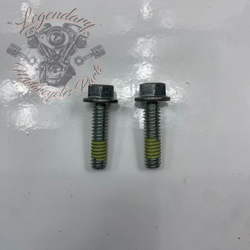 Screw OEM AA0408.21CXZB