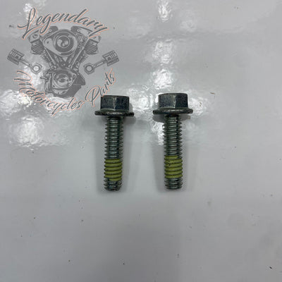 Screw OEM AA0408.21CXZB
