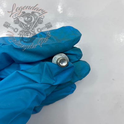 Screw OEM AA0408.21CXZB