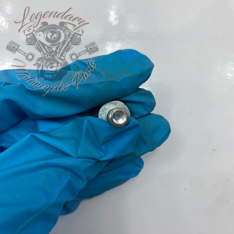 Screw OEM AA0408.21CXZB