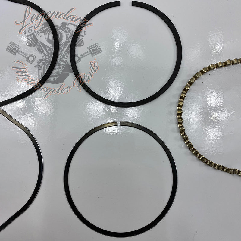 Piston Segments OEM 22336-78TB