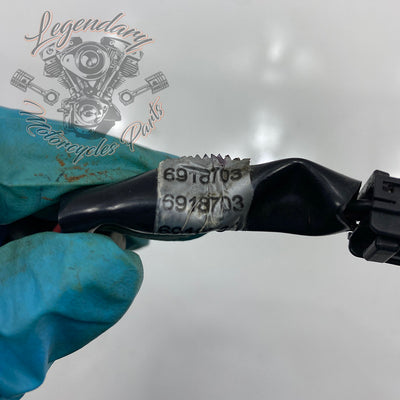 Zadnja luč OEM 69187-03