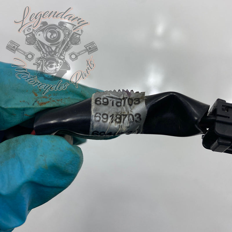 Zadnja luč OEM 69187-03