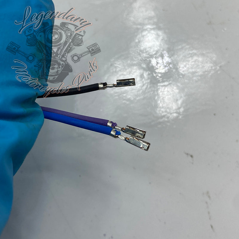 Cubierta de luz trasera OEM 67800980