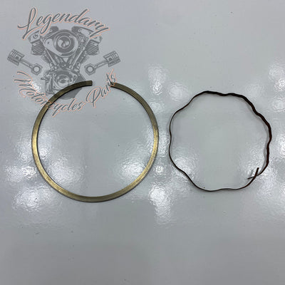 Piston Segments OEM 22325-55