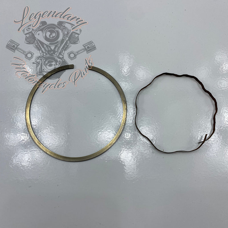 Piston Segments OEM 22325-55