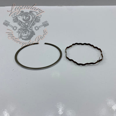 Piston Segments OEM 22325-55