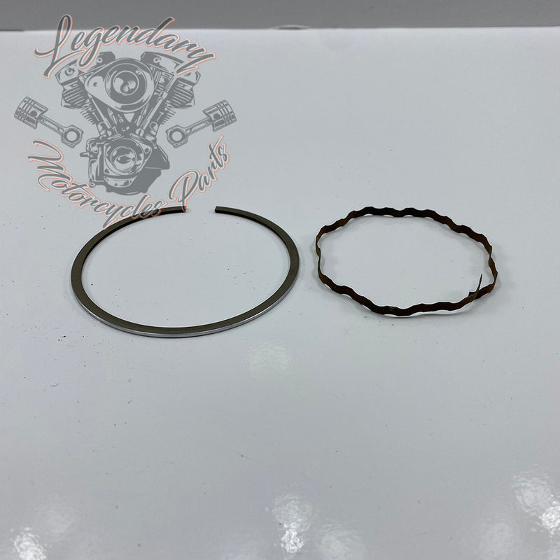 Piston Segments OEM 22325-55