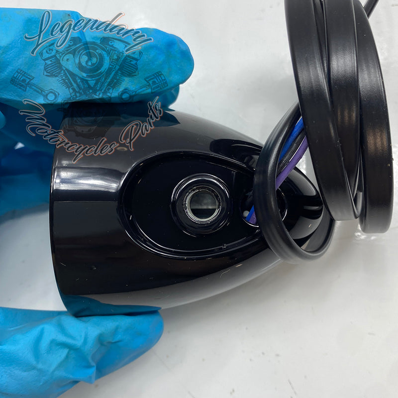 Cubierta de luz trasera OEM 67800980