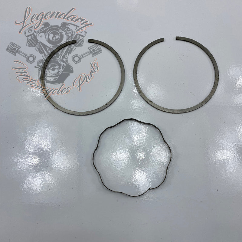 Piston Segments OEM 22325-55