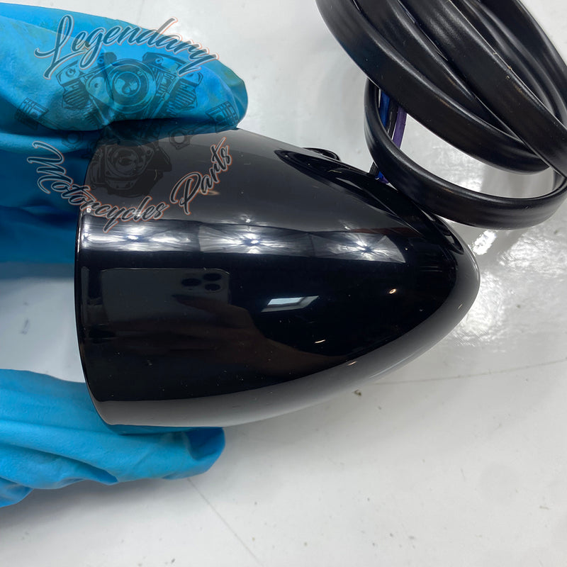 Cubierta de luz trasera OEM 67800980