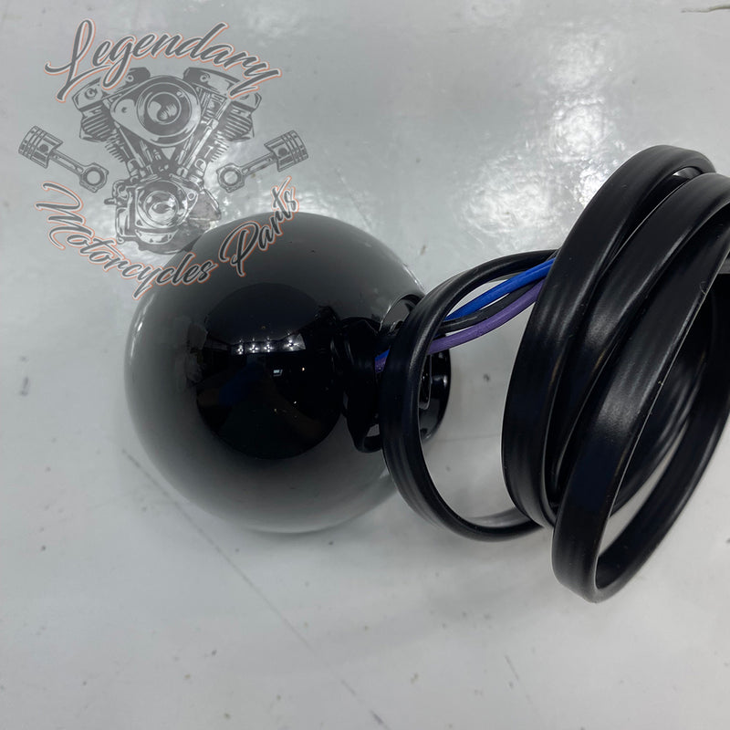 Cubierta de luz trasera OEM 67800980