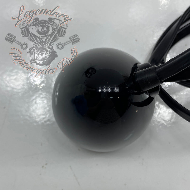 Soporte y luz de giro delantera OEM 67800977